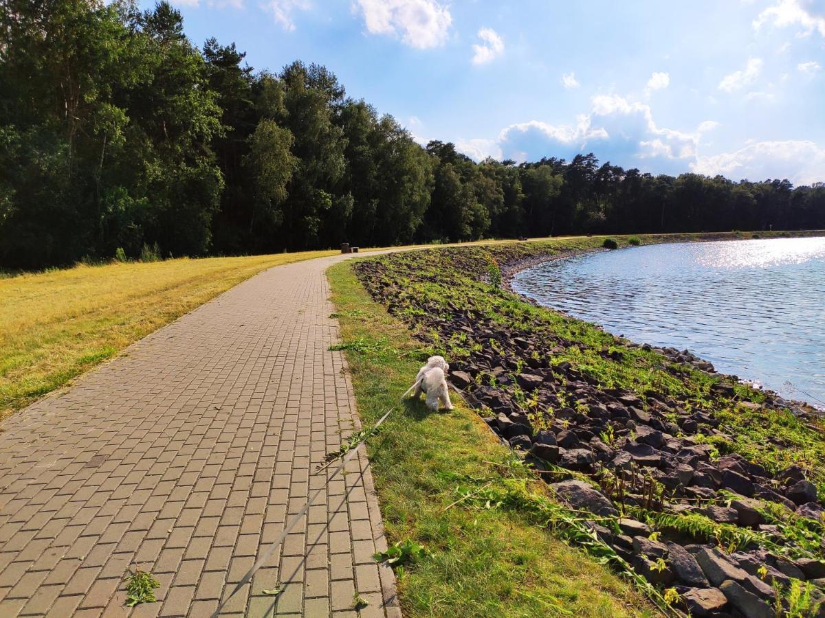 Miodowa Sadyba Domki Caloroczne Kluczbork Ligota Zamecka Kültér fotó