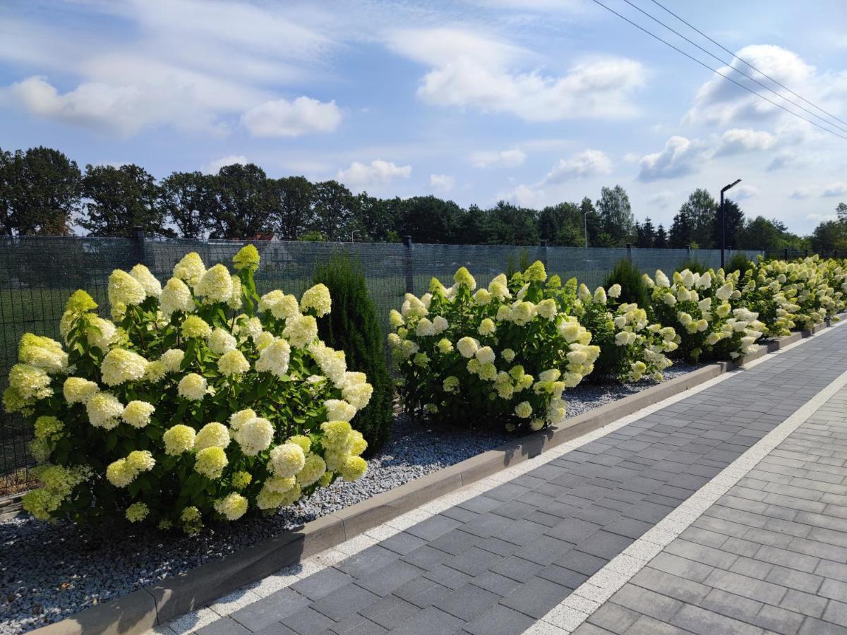 Miodowa Sadyba Domki Caloroczne Kluczbork Ligota Zamecka Kültér fotó