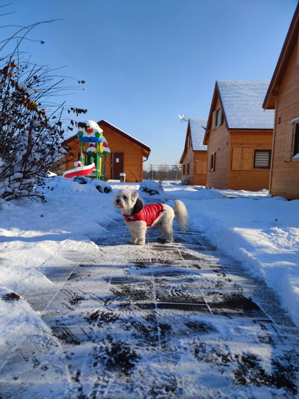 Miodowa Sadyba Domki Caloroczne Kluczbork Ligota Zamecka Kültér fotó
